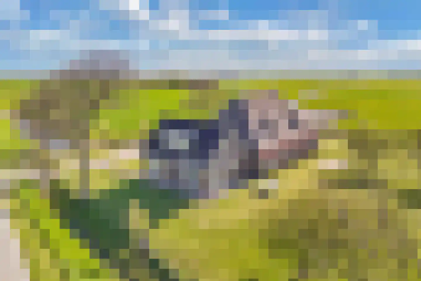 Herbaijumerweg 2 Achlum