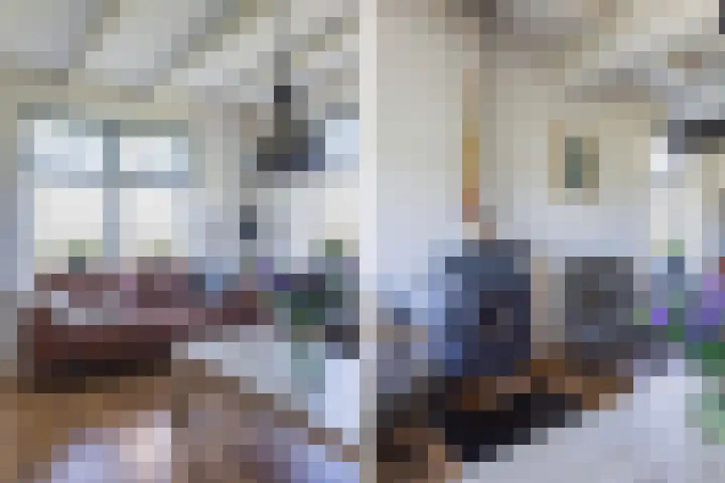 Herbaijumerweg 2 Achlum thumbnail 11