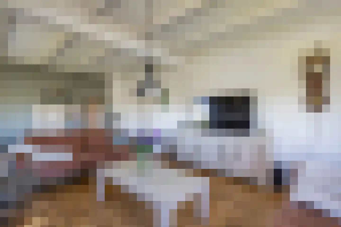 Herbaijumerweg 2 Achlum thumbnail 12