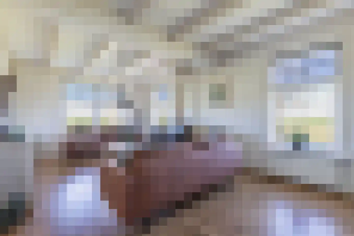 Herbaijumerweg 2 Achlum thumbnail 14