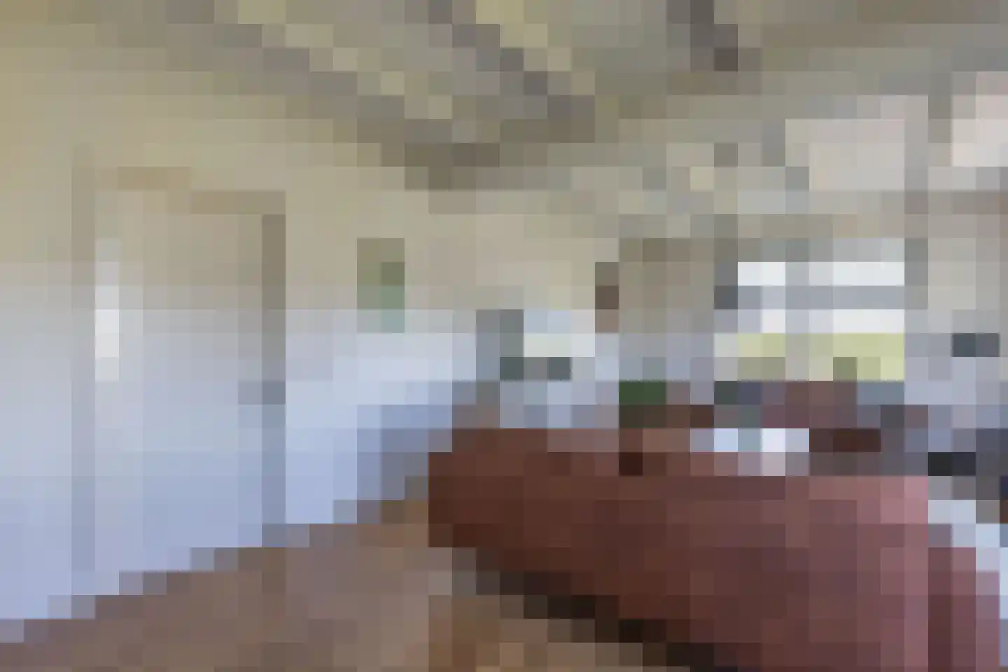 Herbaijumerweg 2 Achlum thumbnail 15