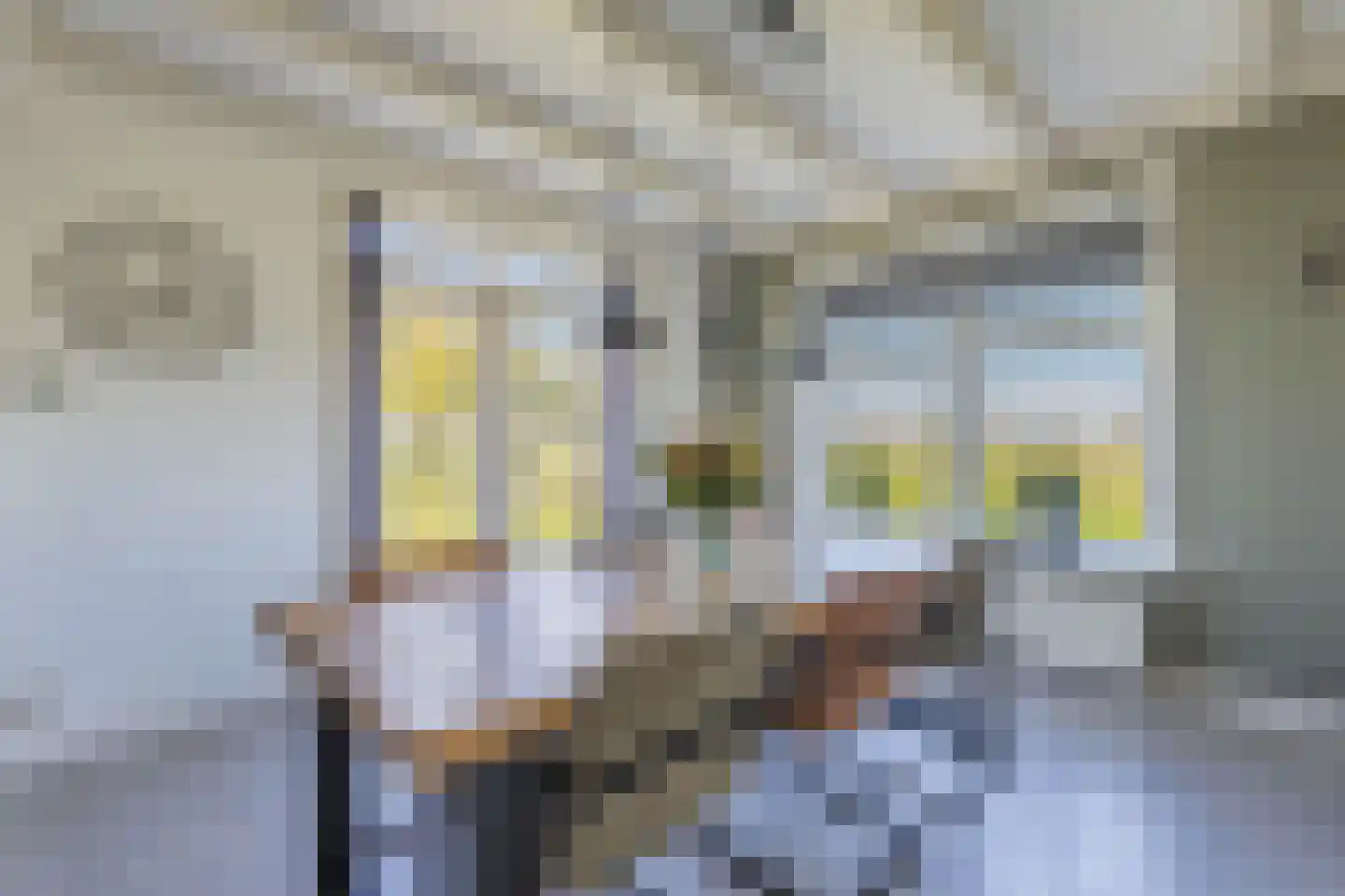 Herbaijumerweg 2 Achlum thumbnail 19