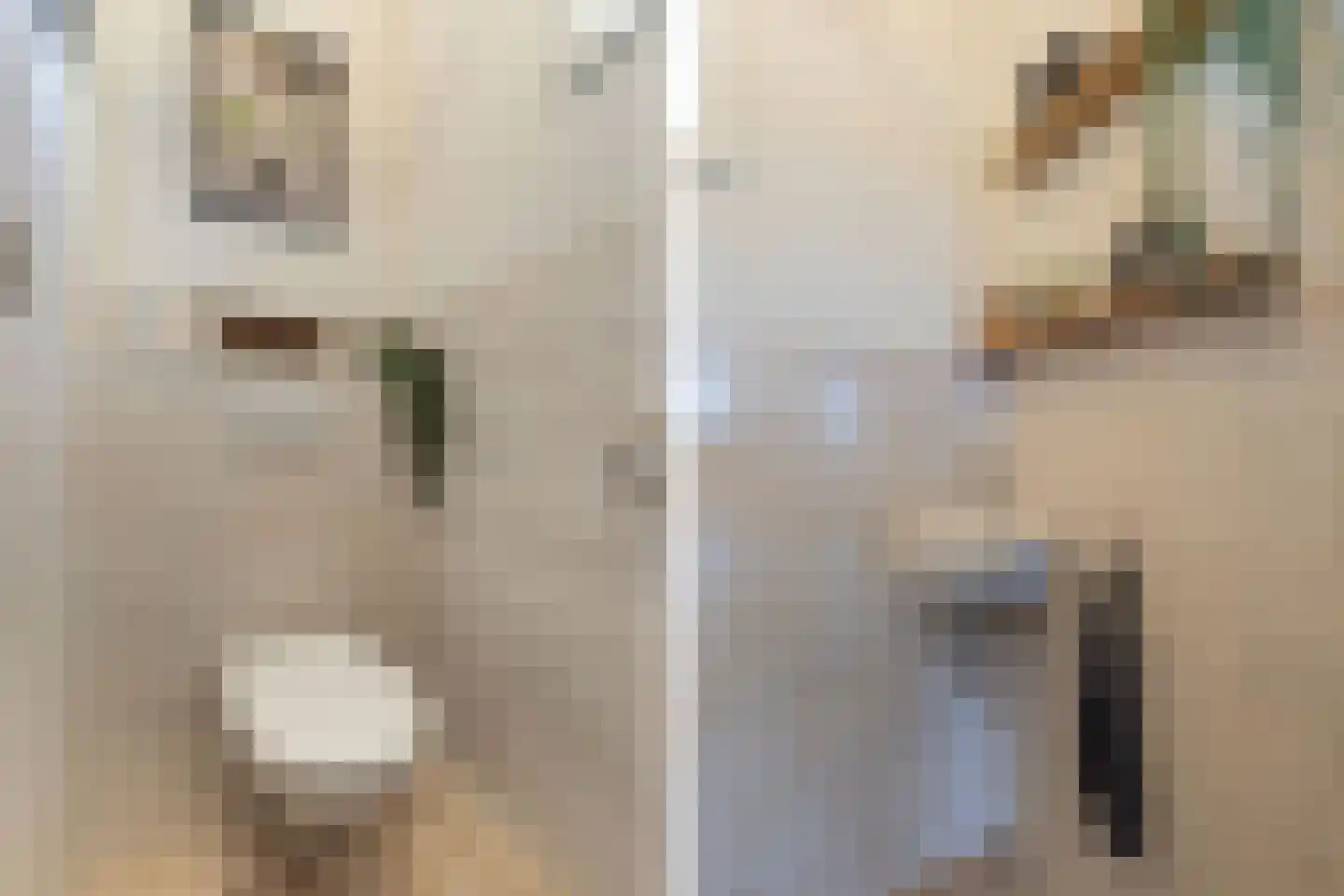 Herbaijumerweg 2 Achlum thumbnail 25