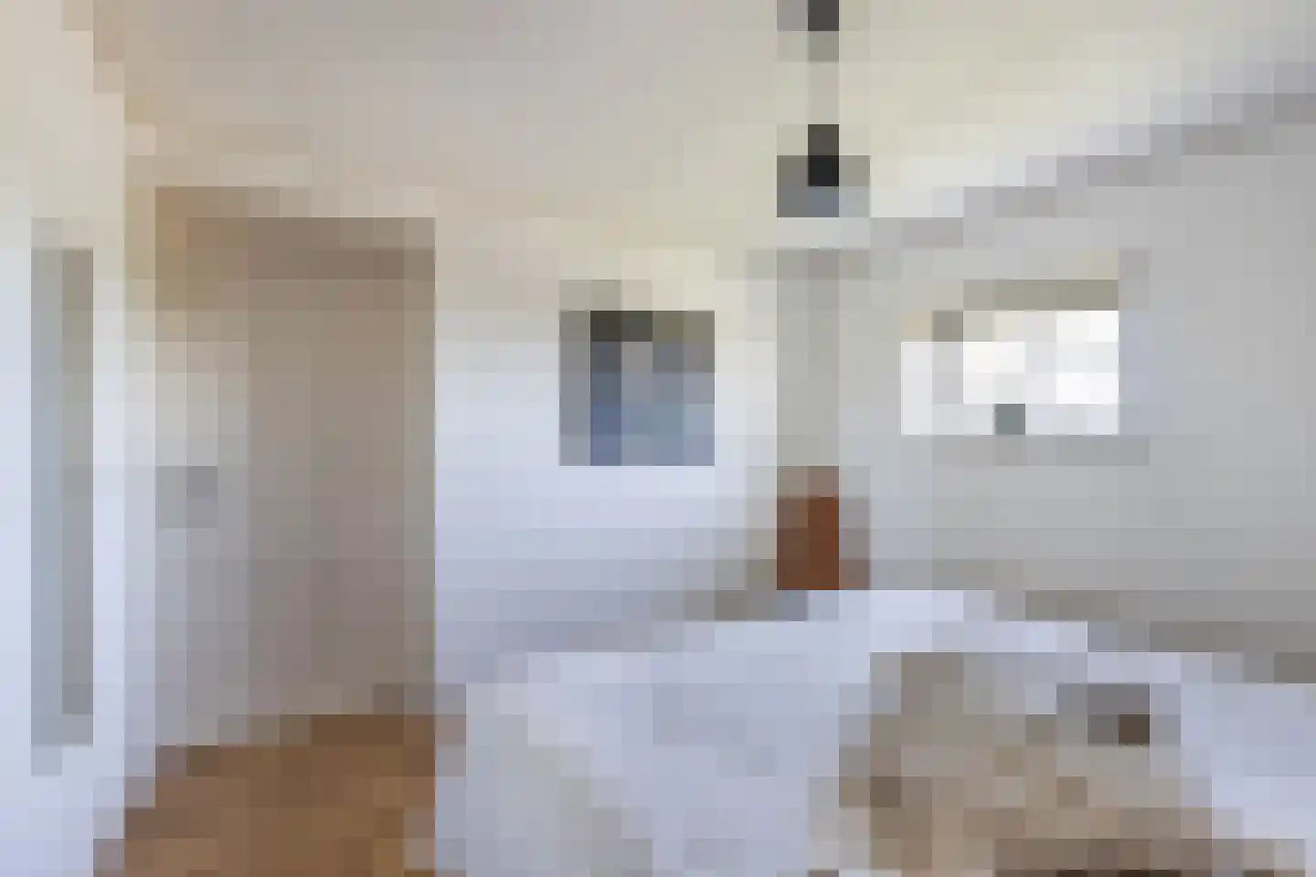 Herbaijumerweg 2 Achlum thumbnail 29