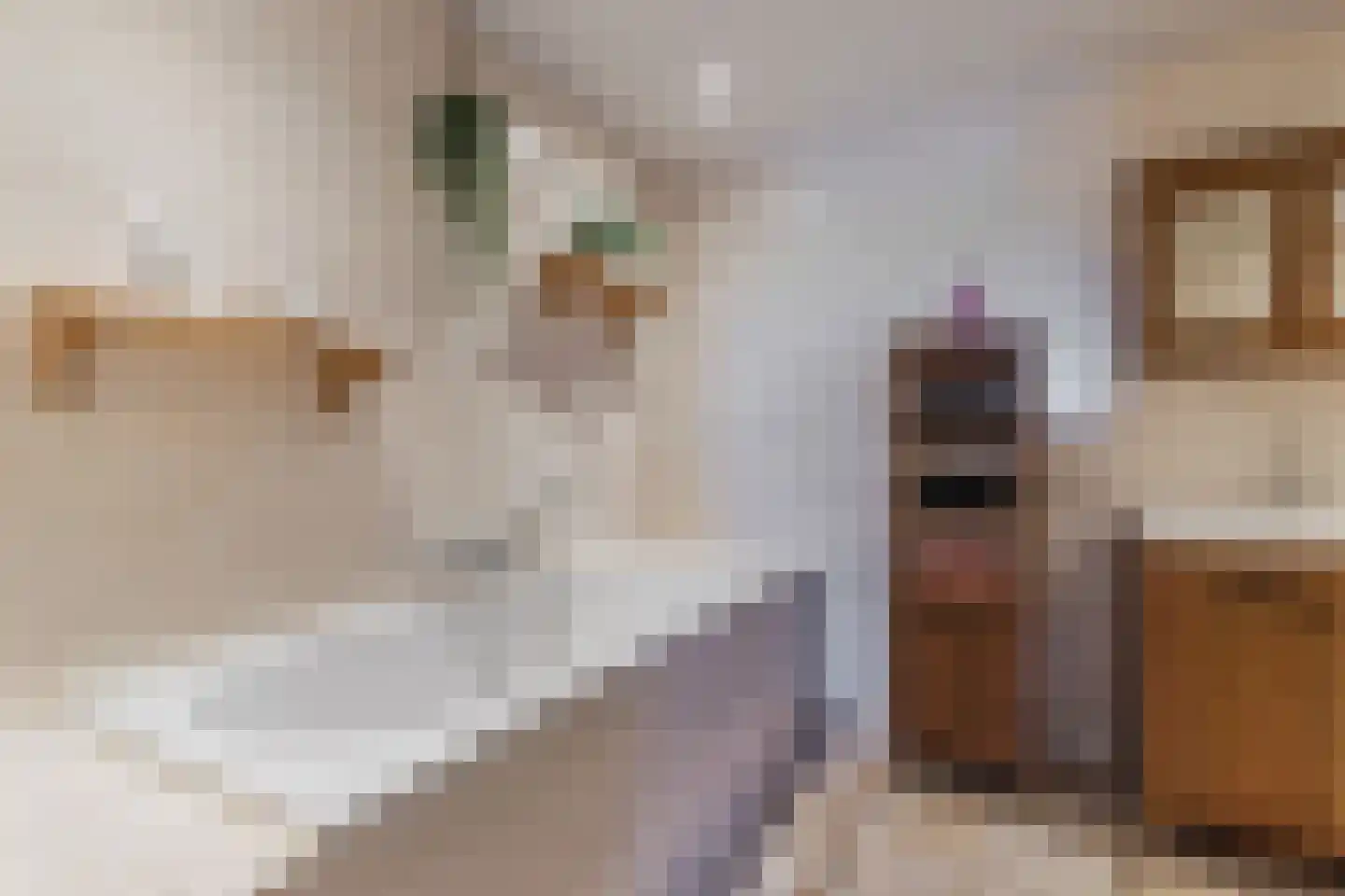 Herbaijumerweg 2 Achlum thumbnail 33