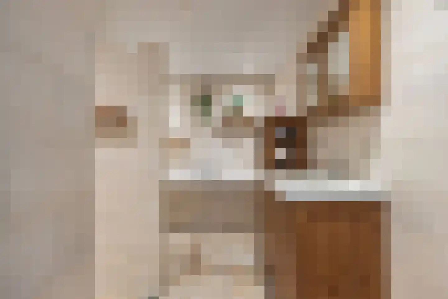 Herbaijumerweg 2 Achlum thumbnail 35