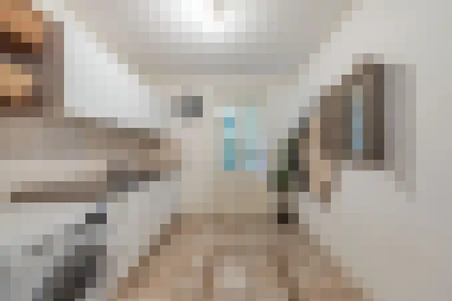 Herbaijumerweg 2 Achlum thumbnail 37