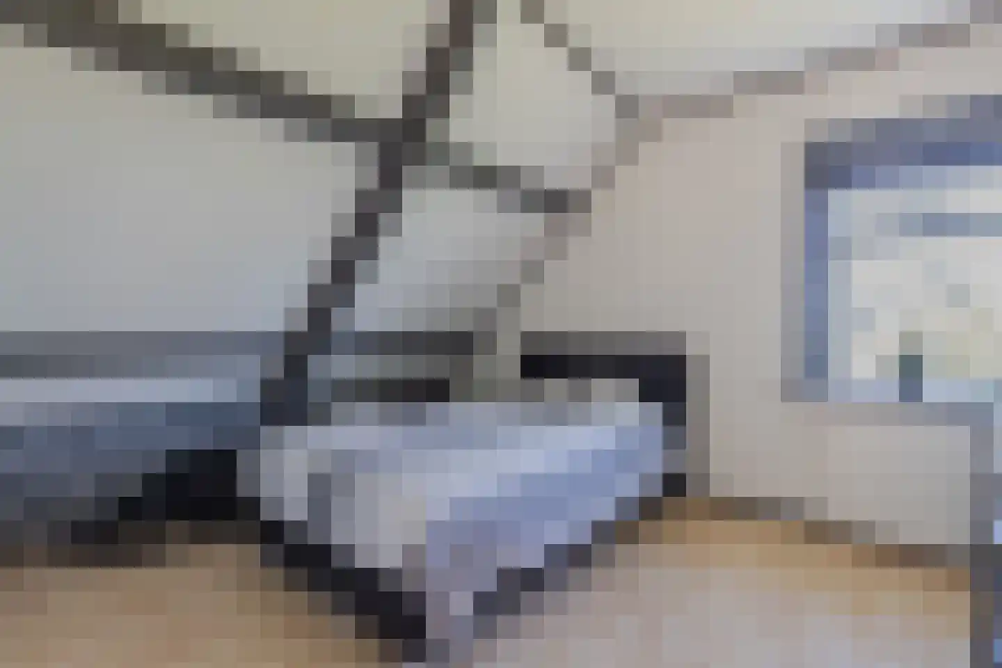 Herbaijumerweg 2 Achlum thumbnail 39