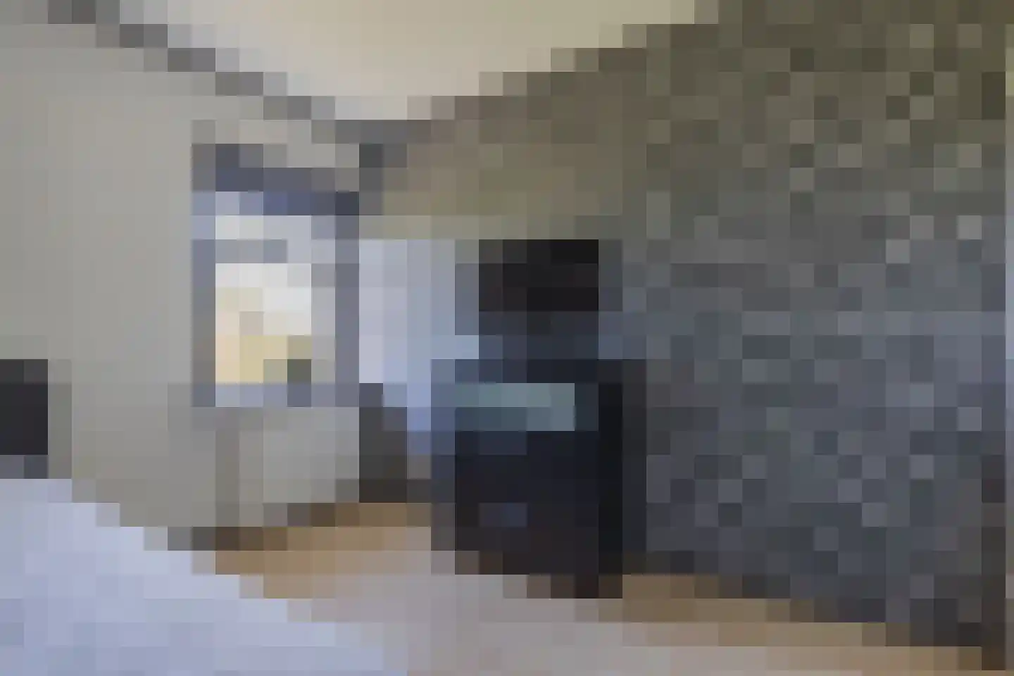 Herbaijumerweg 2 Achlum thumbnail 40