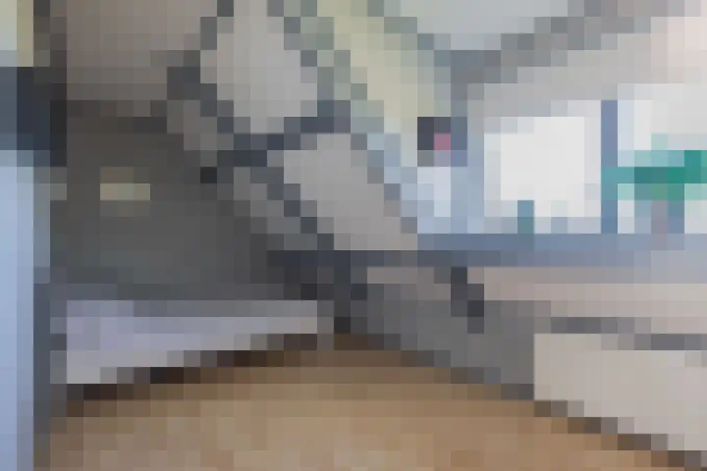 Herbaijumerweg 2 Achlum thumbnail 41