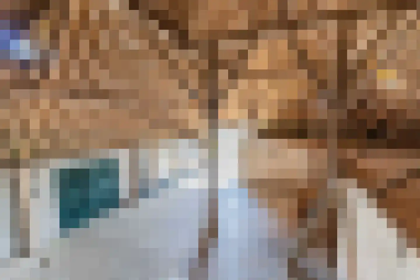 Herbaijumerweg 2 Achlum thumbnail 51