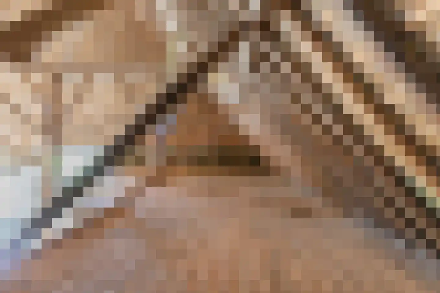 Herbaijumerweg 2 Achlum thumbnail 52