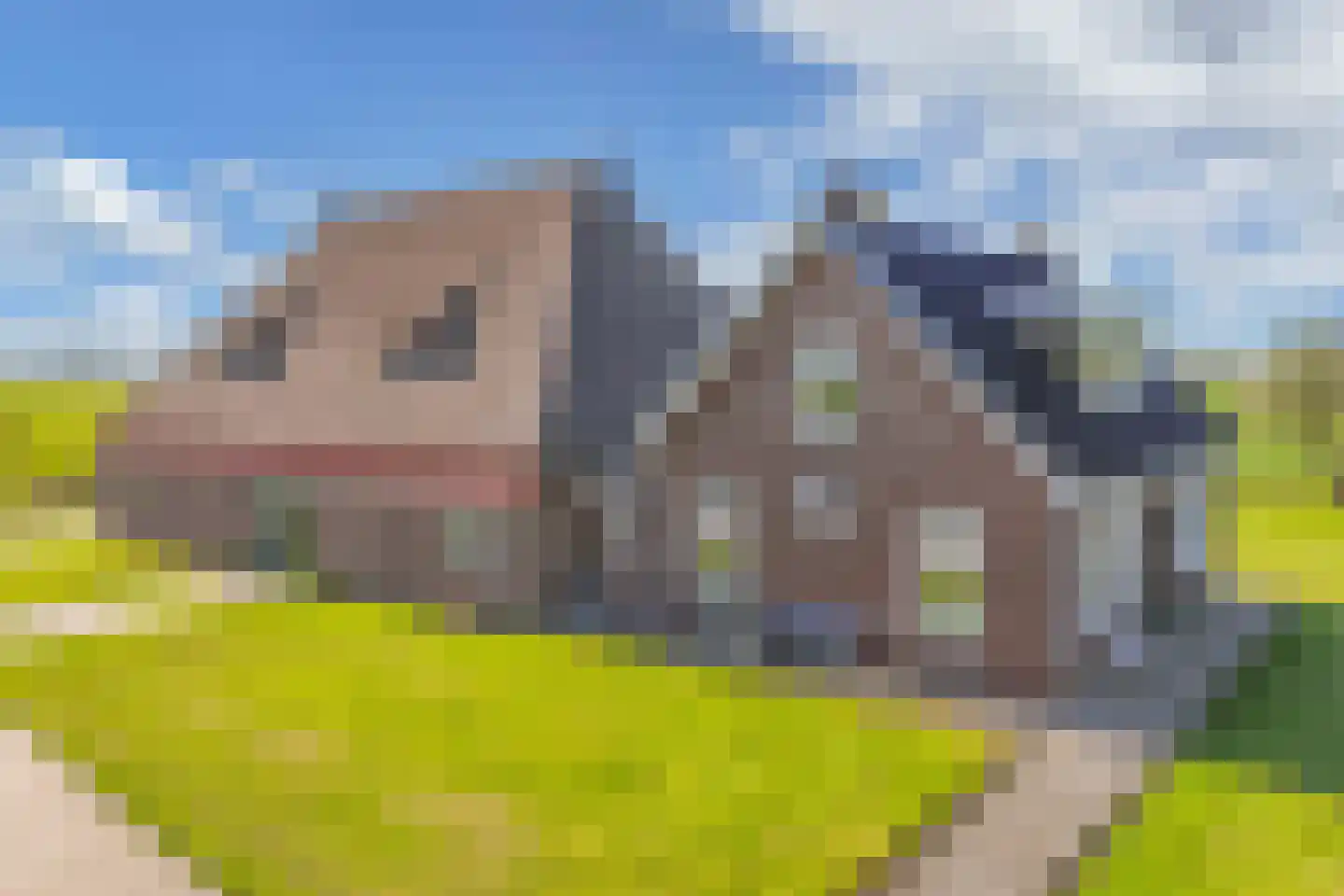 Herbaijumerweg 2 Achlum thumbnail 57