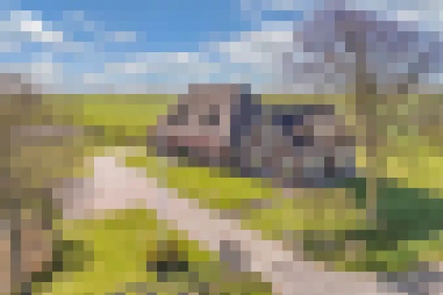 Herbaijumerweg 2 Achlum thumbnail 59