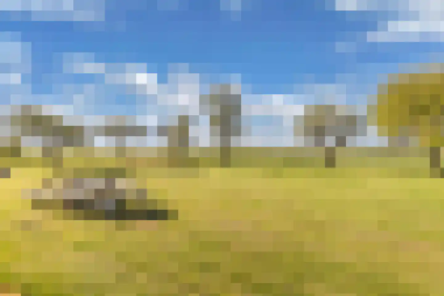 Herbaijumerweg 2 Achlum thumbnail 61