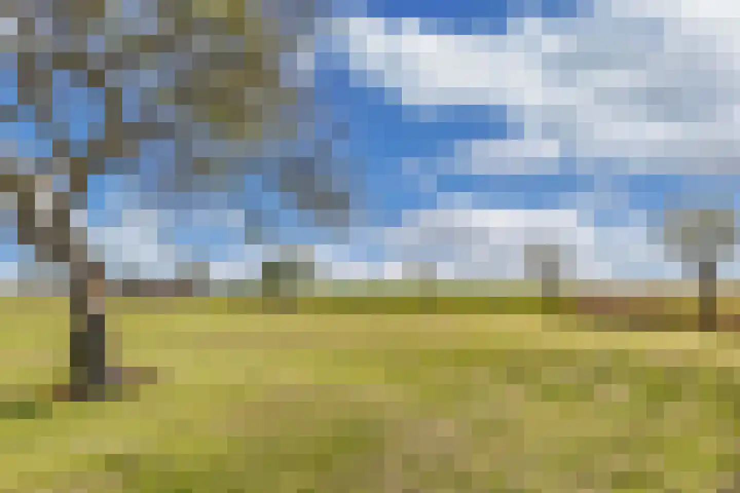 Herbaijumerweg 2 Achlum thumbnail 65
