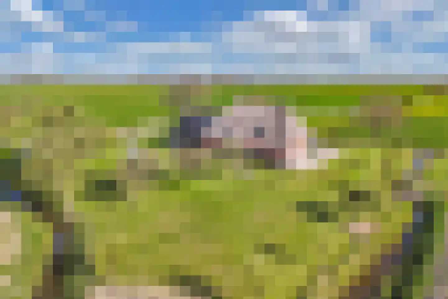 Herbaijumerweg 2 Achlum thumbnail 73