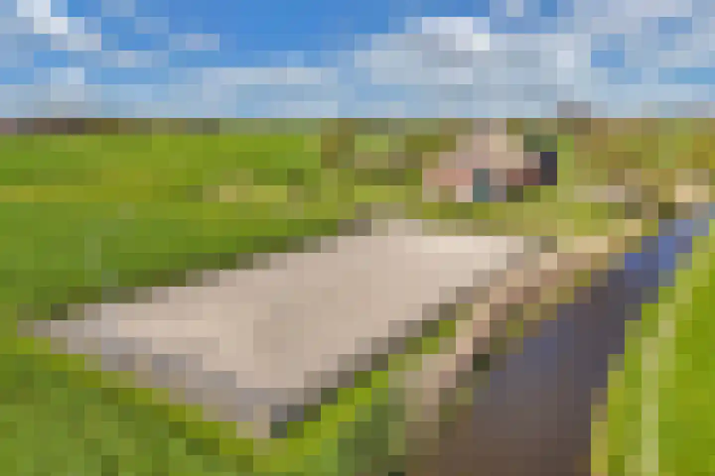 Herbaijumerweg 2 Achlum thumbnail 75