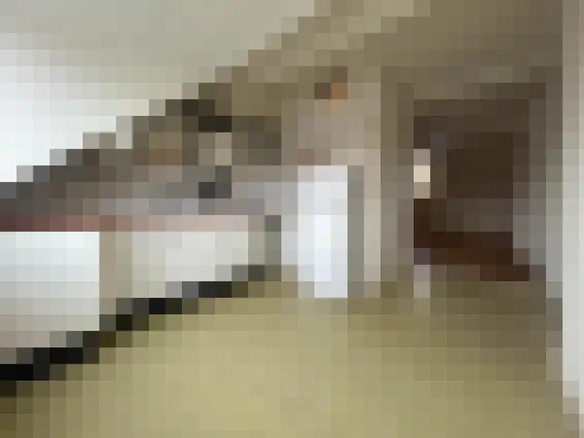 Herbenusstraat 19 Maastricht thumbnail 4