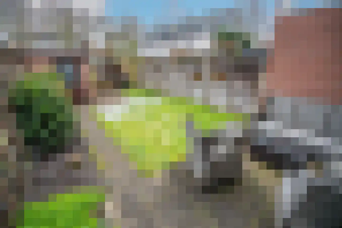 Herberg 117 Leidschendam thumbnail 22