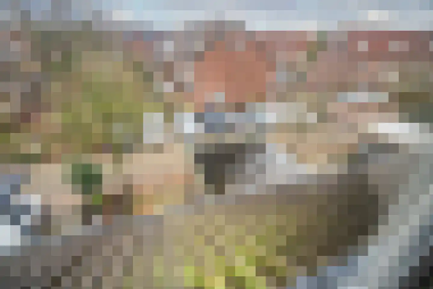 Herberg 117 Leidschendam thumbnail 51