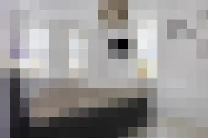 Herberg 2 IJsselmuiden thumbnail 17
