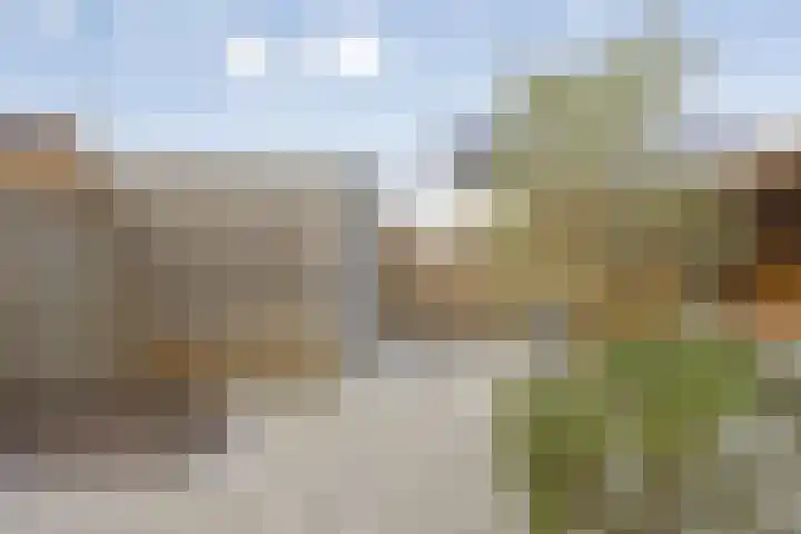 Herberg 2 IJsselmuiden thumbnail 29