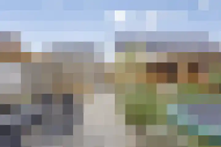 Herberg 2 IJsselmuiden thumbnail 30