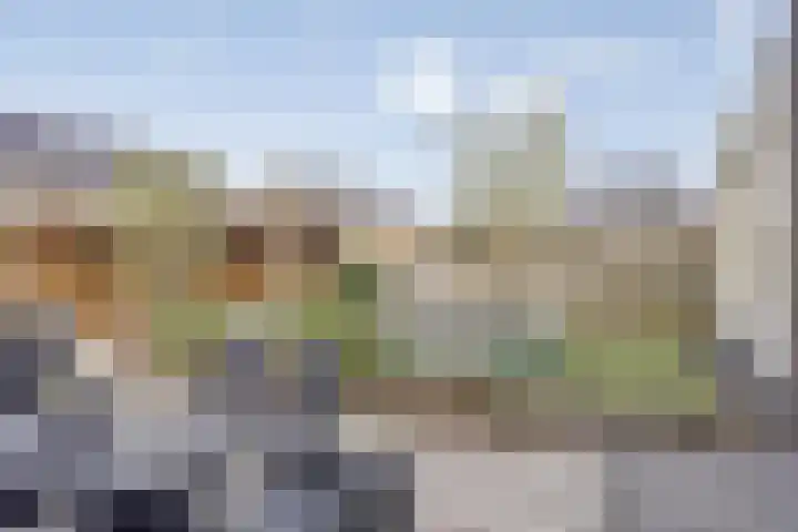 Herberg 2 IJsselmuiden thumbnail 31