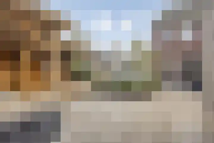 Herberg 2 IJsselmuiden thumbnail 36