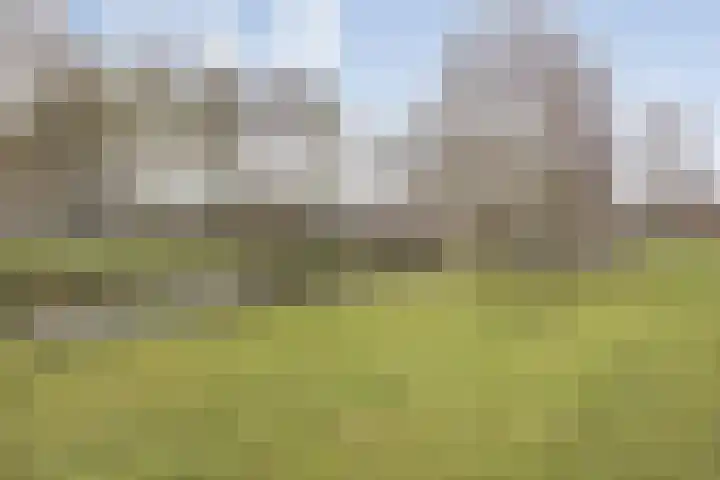 Herberg 2 IJsselmuiden thumbnail 43
