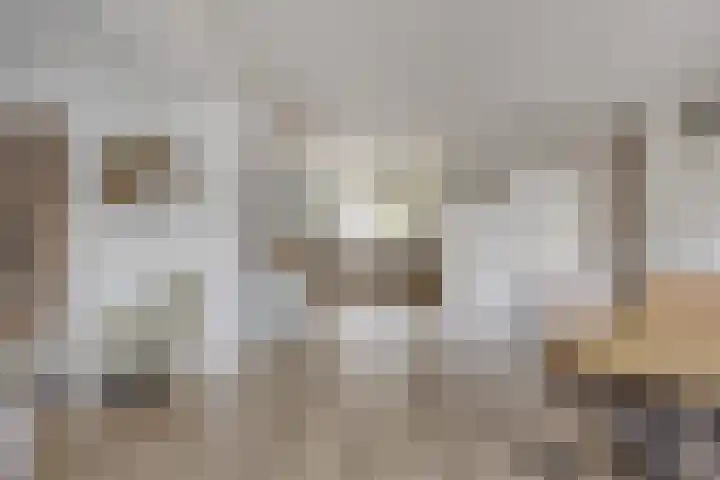 Herberg 2 IJsselmuiden thumbnail 5