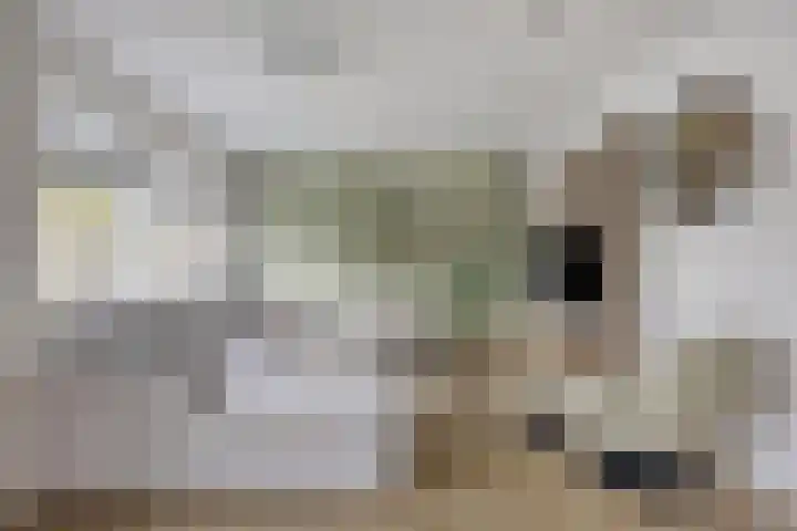 Herberg 2 IJsselmuiden thumbnail 6