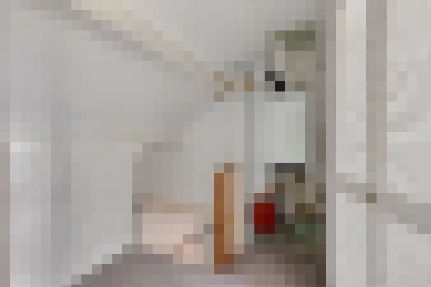 Herbergier 10 Oss thumbnail 41