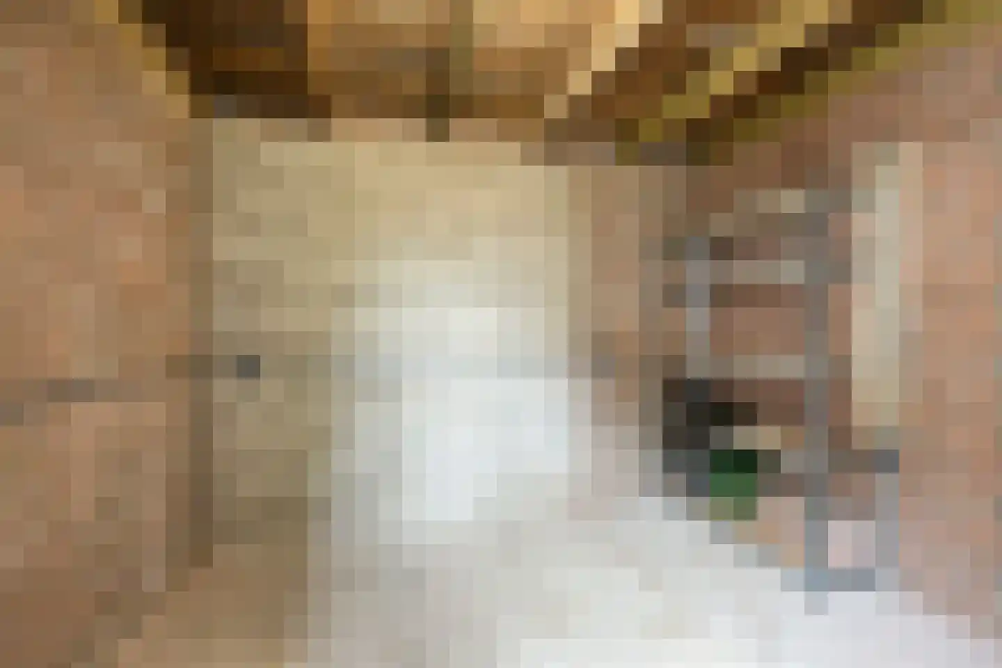 Herbergier 10 Oss thumbnail 50