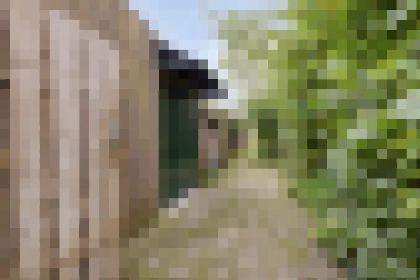 Herbergier 10 Oss thumbnail 51