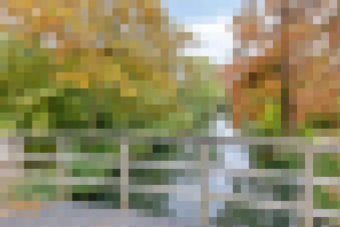 Herbergier 10 Oss thumbnail 57