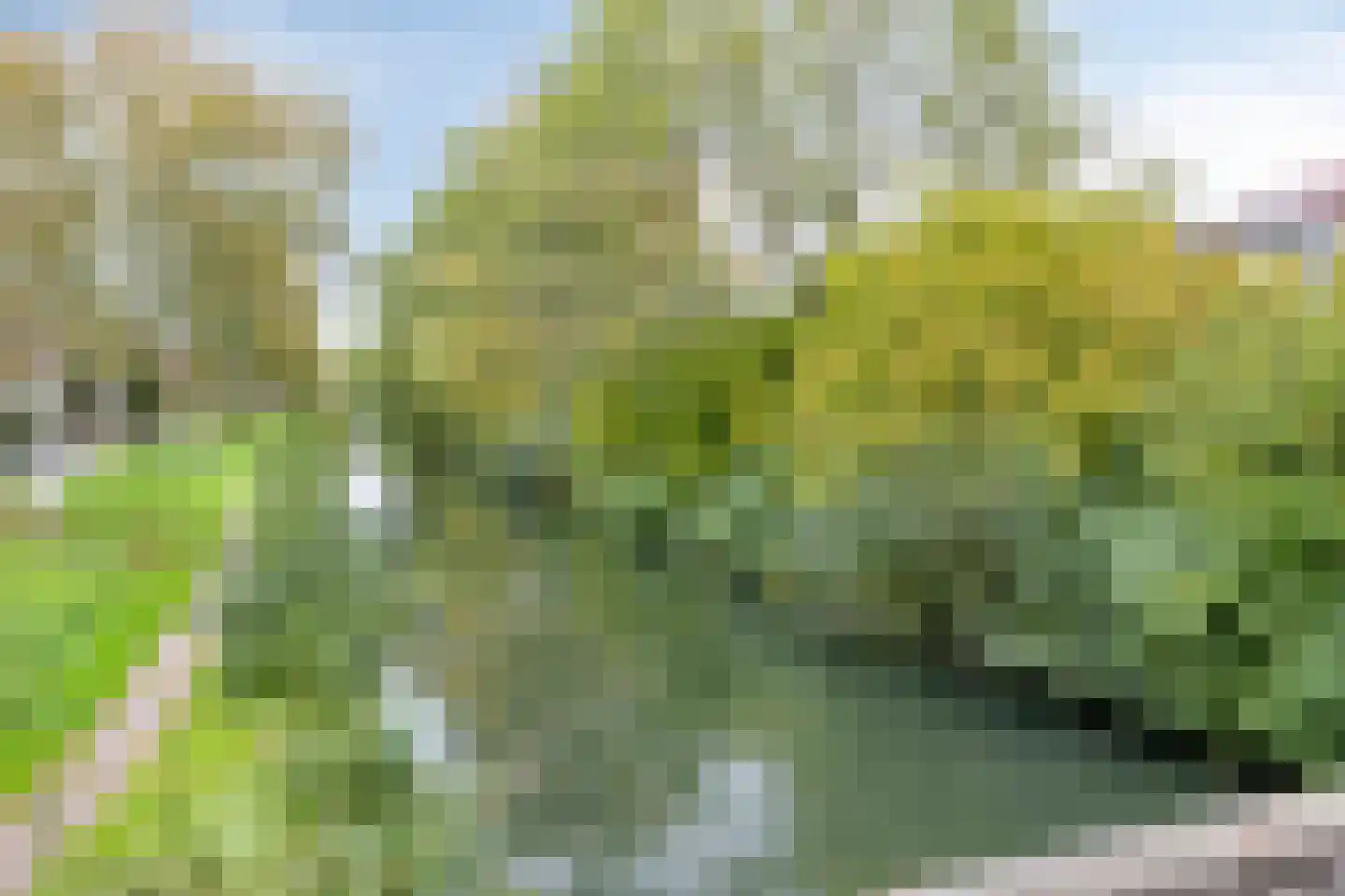 Herbergier 10 Oss thumbnail 58