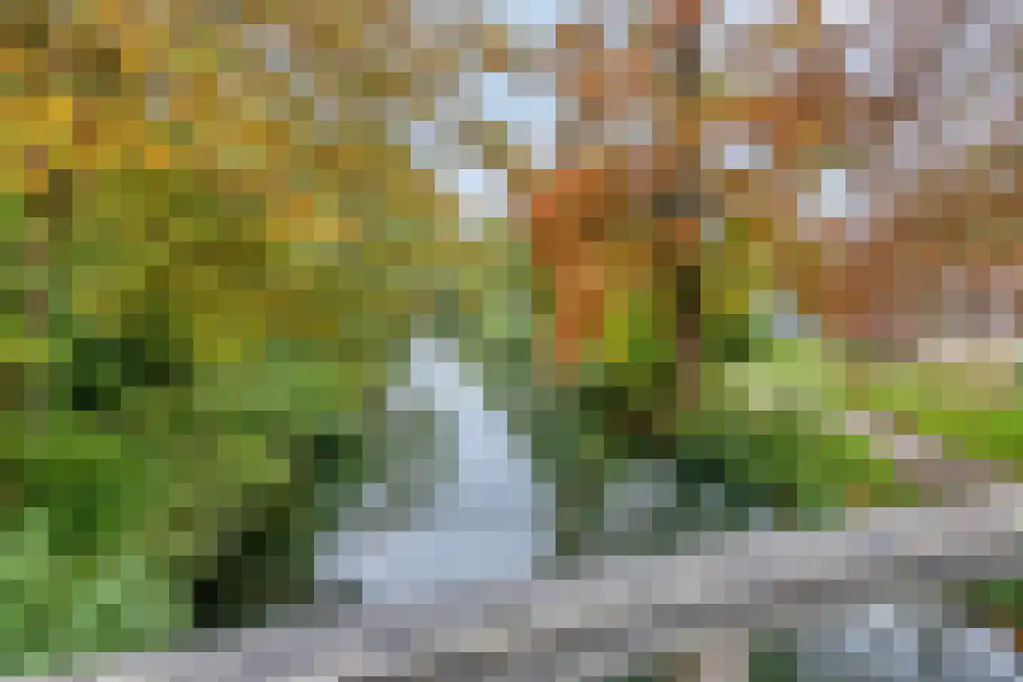 Herbergier 10 Oss thumbnail 59
