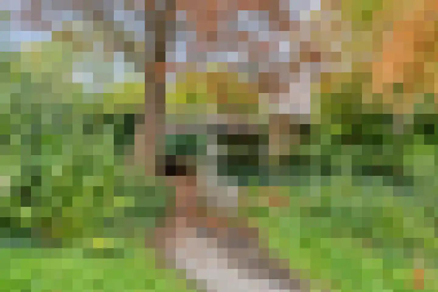 Herbergier 10 Oss thumbnail 60