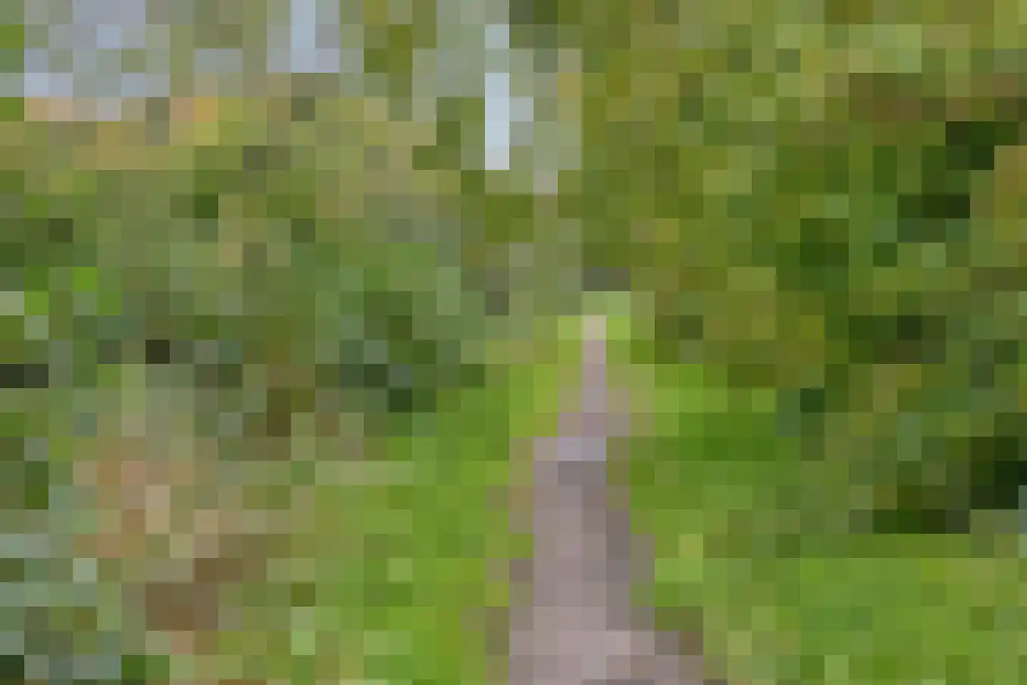 Herbergier 10 Oss thumbnail 61