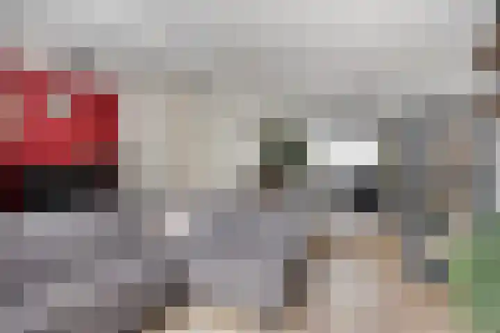 Herbergier 11 Oss thumbnail 10