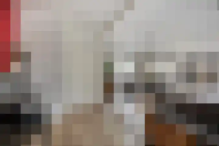 Herbergier 11 Oss thumbnail 12