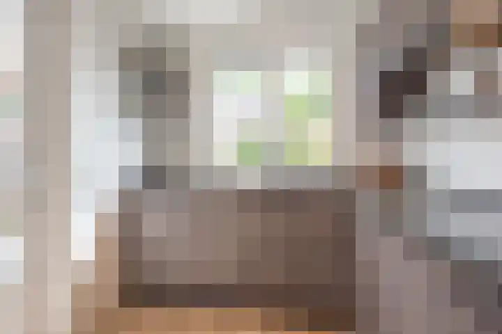Herbergier 11 Oss thumbnail 16