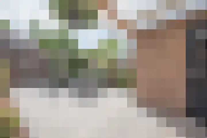 Herbergier 11 Oss thumbnail 18
