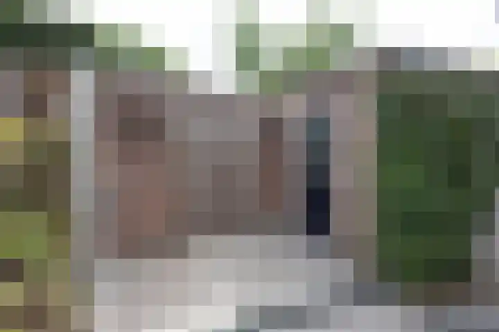 Herbergier 11 Oss thumbnail 21