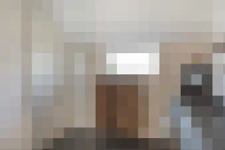 Herbergier 11 Oss thumbnail 26