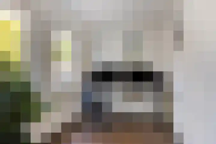 Herbergier 11 Oss thumbnail 29