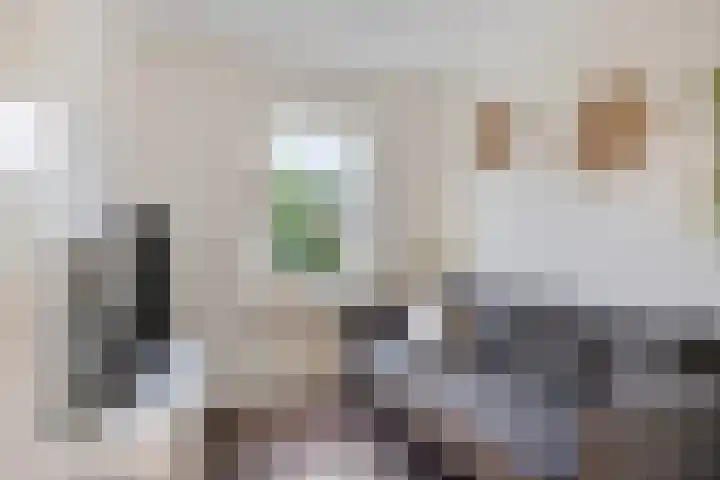 Herbergier 11 Oss thumbnail 30