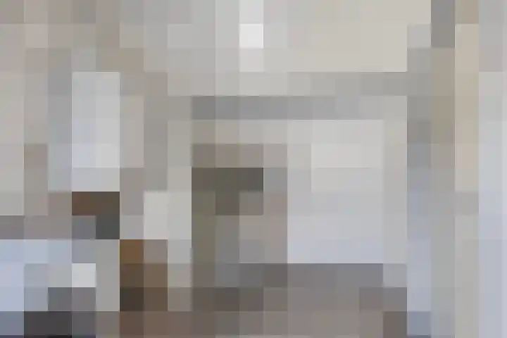 Herbergier 11 Oss thumbnail 32